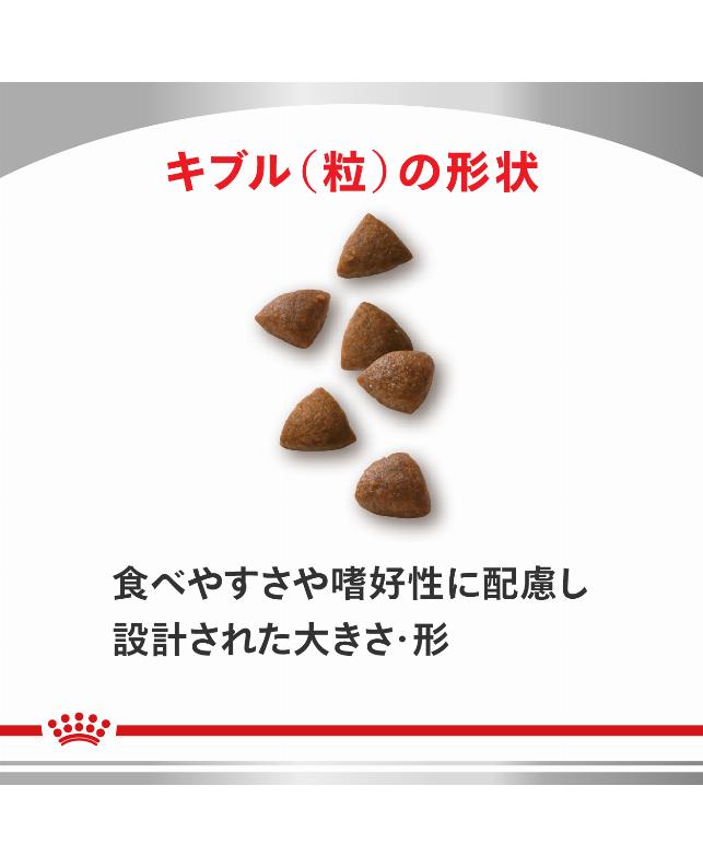 ロイヤルカナン 〈猫用〉 消化器サポート 500g（3182550710985