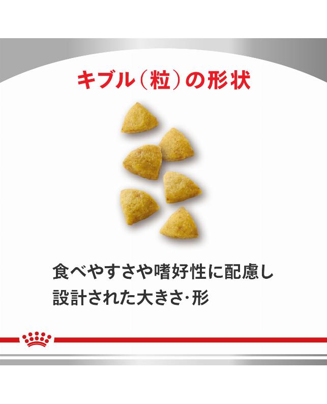 ロイヤルカナン 〈猫用〉 低分子プロテイン 2kg（3182550716444