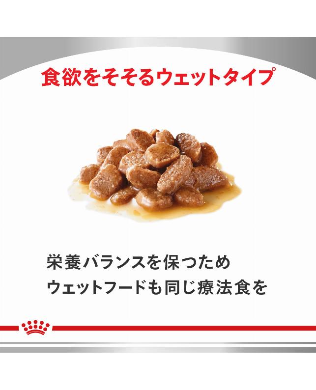 ロイヤルカナン 〈猫用〉 糖コントロール 4kg（3182550716499