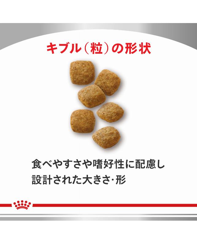 ロイヤルカナン 〈猫用〉 糖コントロール 4kg（3182550716499