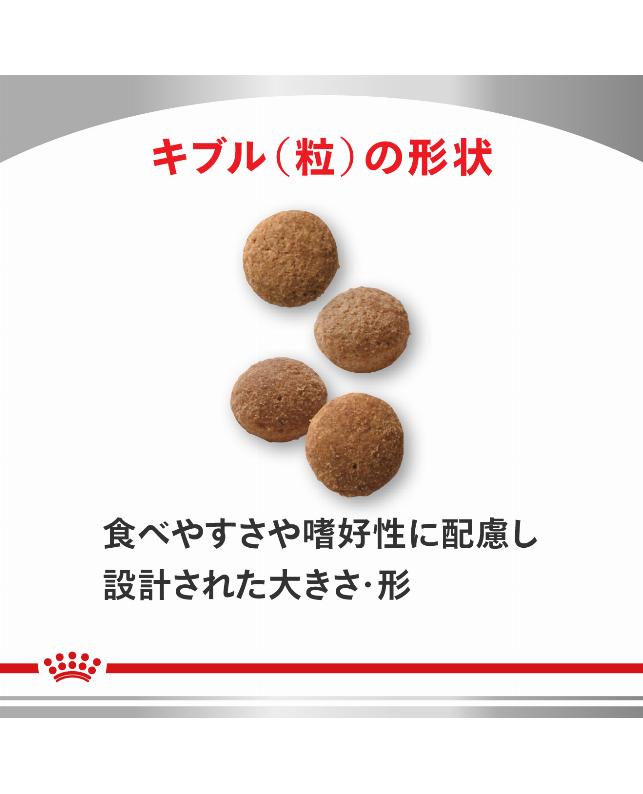 ロイヤルカナン 〈猫用〉 ユリナリーS/O＋CLT＋満腹感サポート 2kg