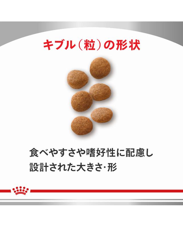 ロイヤルカナン 〈猫用〉 ユリナリーS／Oライト 2kg（3182550901161