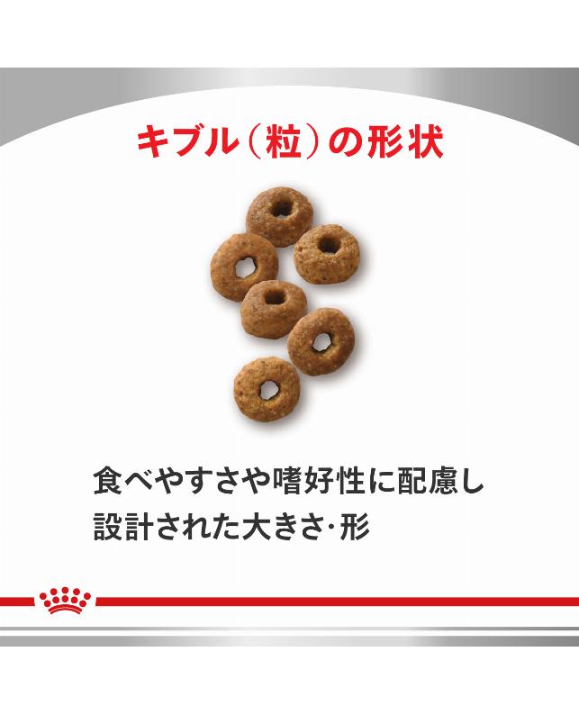 だるま商店♪ CANIN スキン＆コート 2kg×2袋 楽天市場】ロイヤルカナン