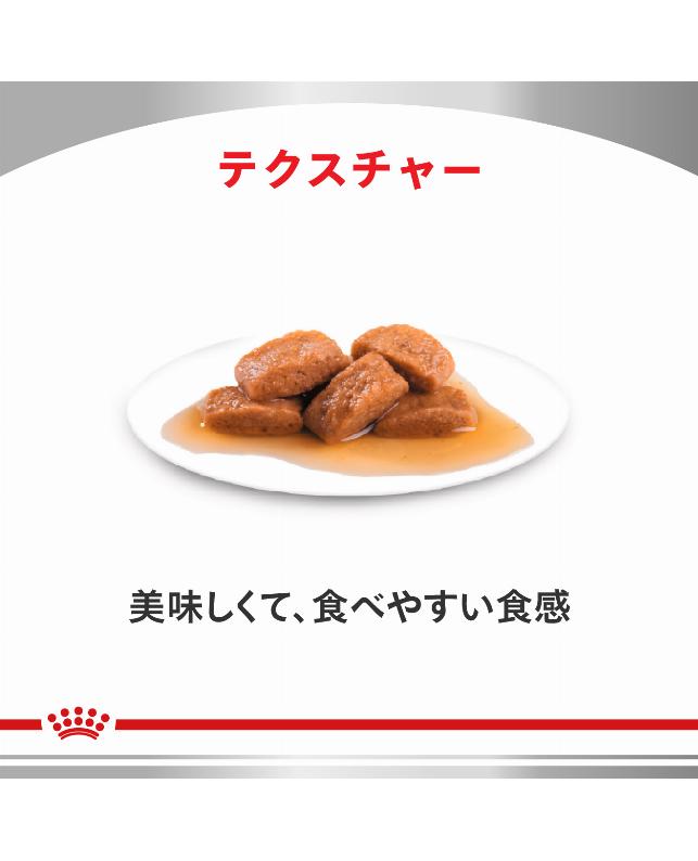 ロイヤルカナン 〈猫用〉 腎臓サポートチキンテイスト パウチ 85g×24個