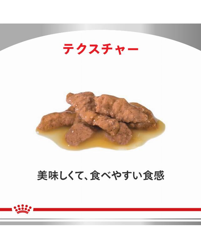 ロイヤルカナン 〈猫用〉 ユリナリーS／O パウチ 85g×24個