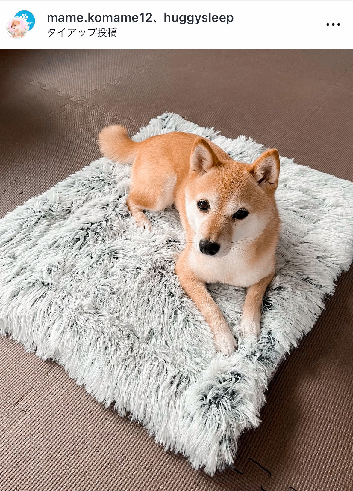 癒しのクレートクッション™】 – HuggySleep™