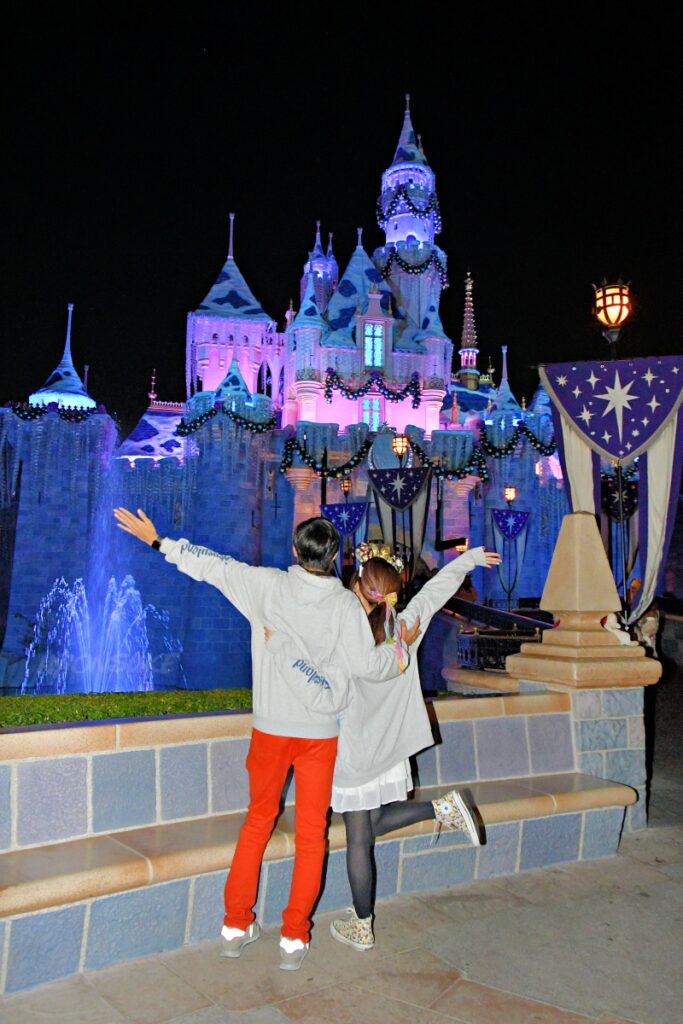 DLR＆DCL】「シンデレラ城」ならぬ「眠れる森の美女の城」美しい