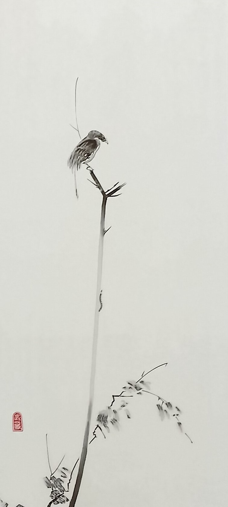 掛け軸 宮本武蔵 枯木鳴鳴鵙図（こぼくめいげきず）