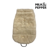 i-glow｜アイ グロー【ドッグファッション・セレクトストア】