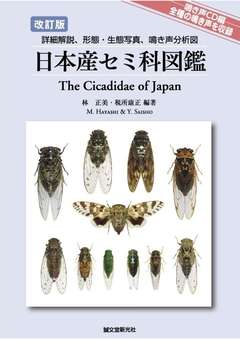 ダイトウヒメハルゼミ - 図鑑.jp