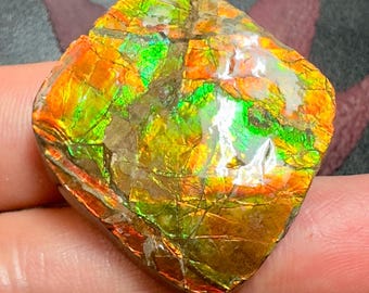 カナダ、アルバータ州産の青い大型アンモライト板。AAA+ の希少標本