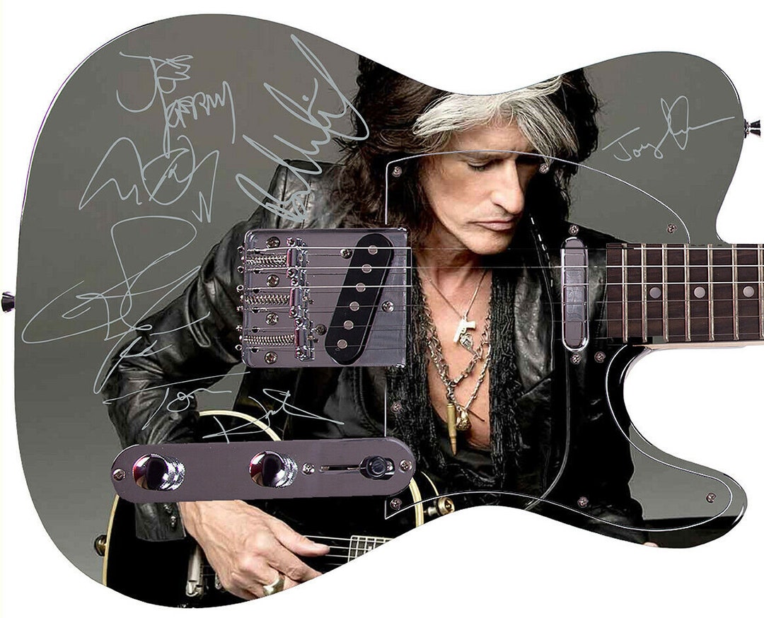 Aerosmith エアロスミス Joe Perry 2018 ギターピック Aerosmith