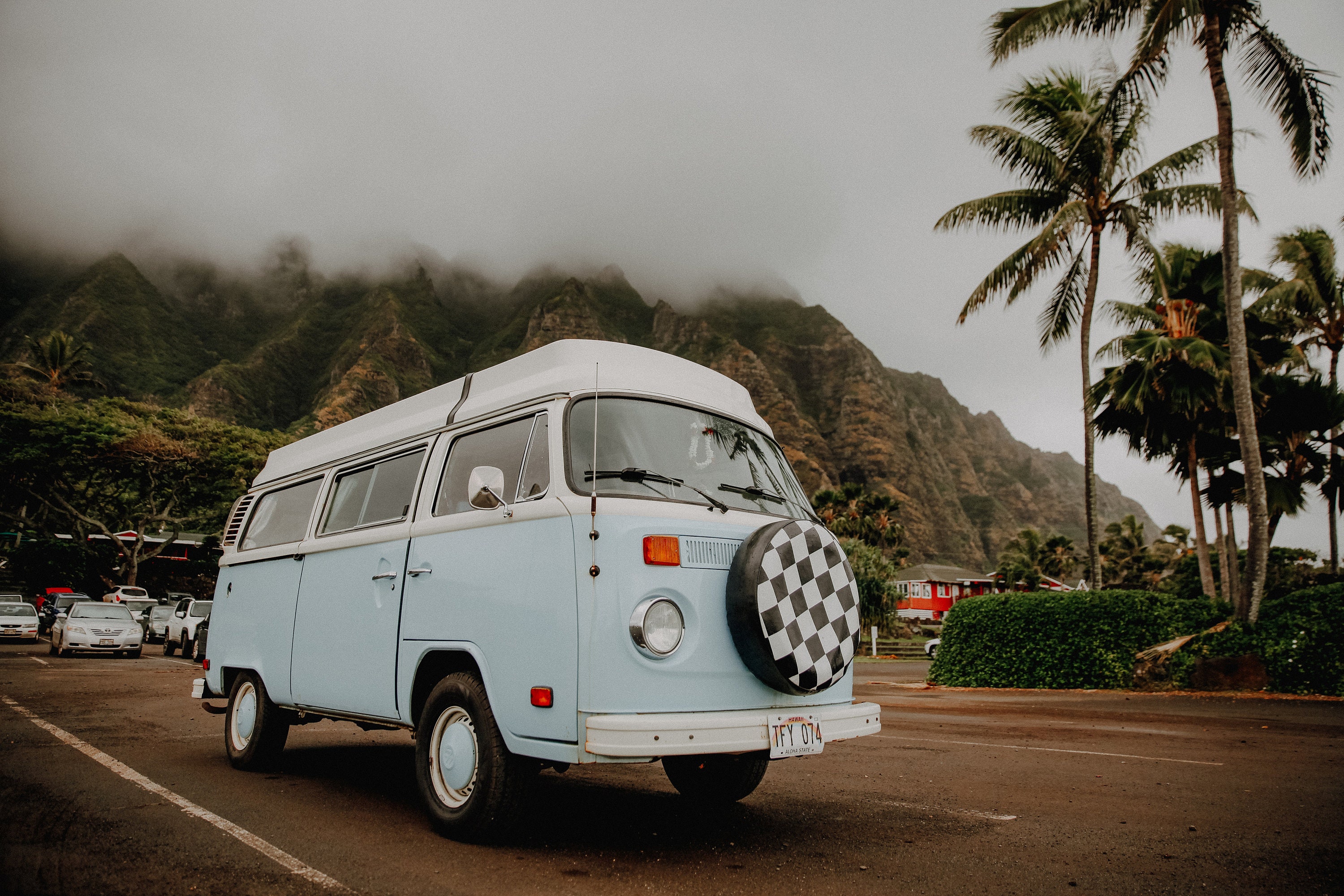 Vintage VW Van Wall Art, Volkswagen Bus Photo, Hawaii Photo, Palm