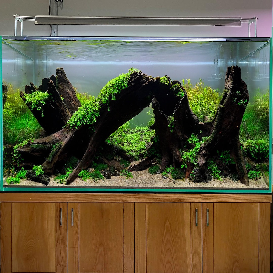 MDW-6063 ブランチウッド・青龍石レイアウトセット 90cm以上水槽用流木