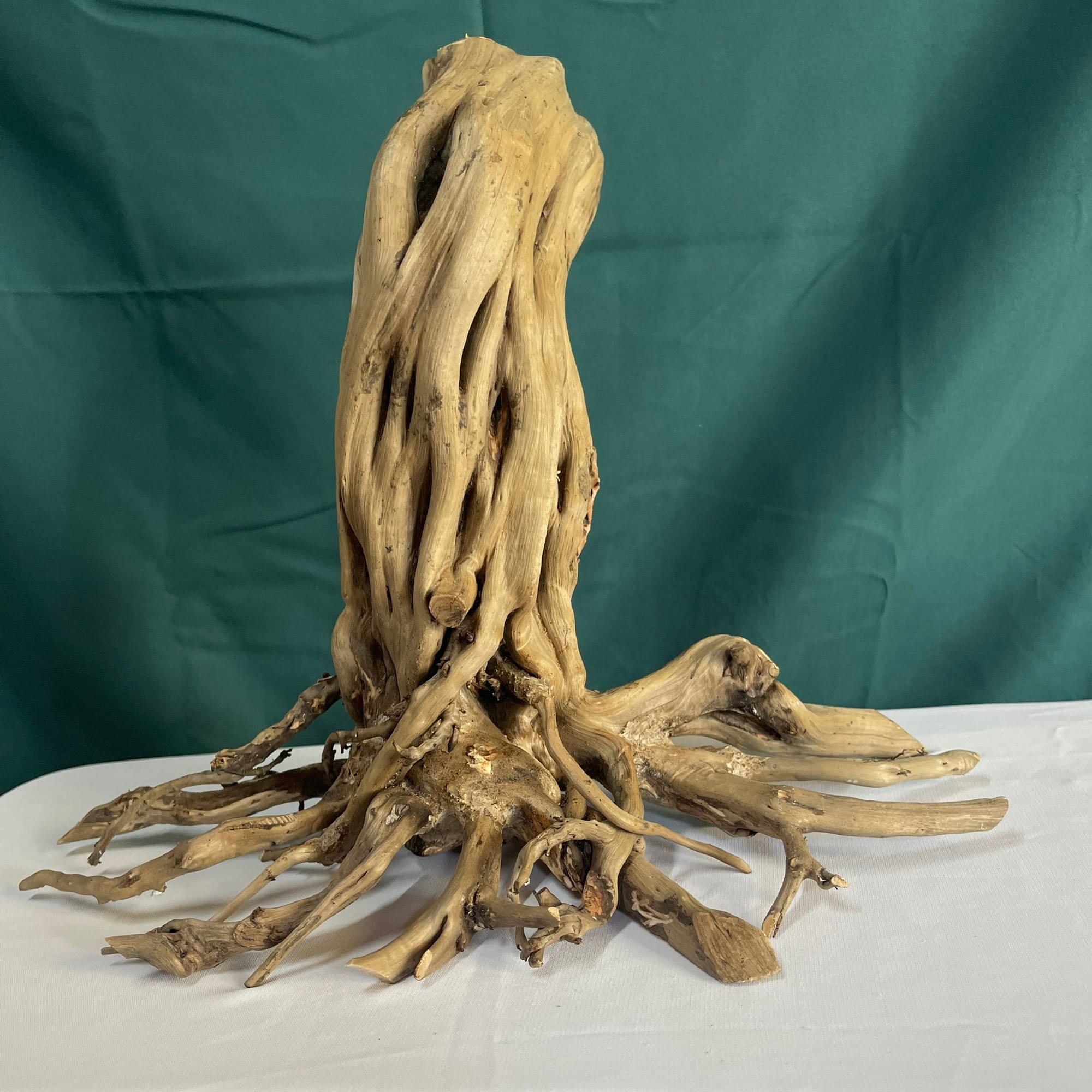 水槽流木切り株木水景木材盆栽水槽本物の流木 - Etsy 日本