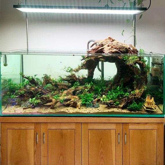 アクアスケープ 水槽 流木 盆栽 アクアスケープ 植物 ハードスケープ