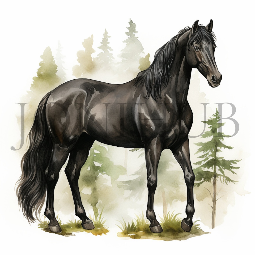 黒馬のクリップアート | 10 枚の高品質 JPG | デジタル ダウンロード