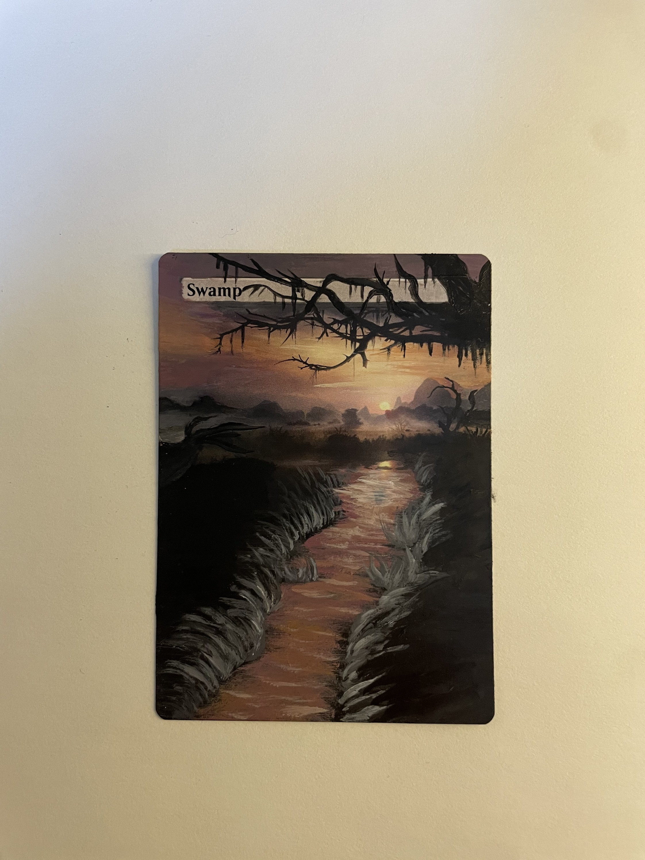 沼 swamp アーティスト拡張 サインalter art