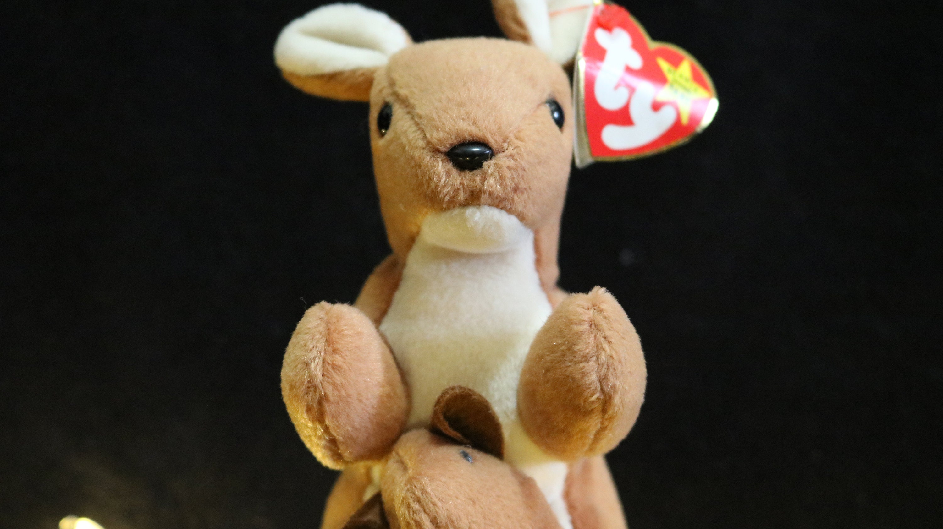 超レア TY ビーニーベイビーズ | TY | コレクターアイテム | ビーニー