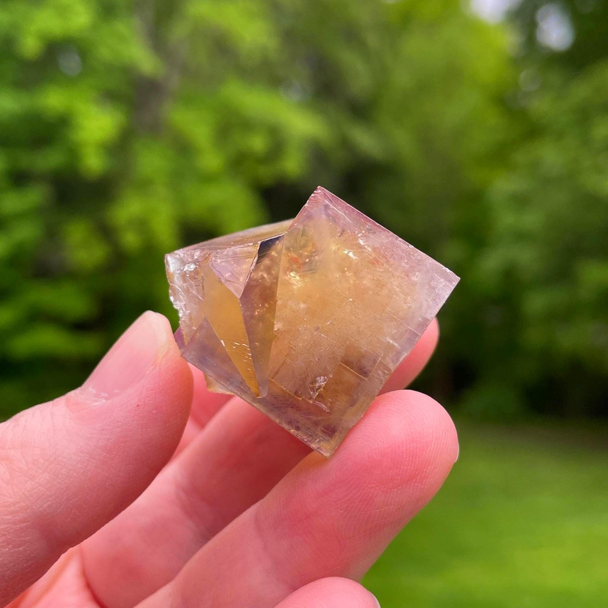 UK Lady Anabella mine Bull Vein フローライト 【公式通販】