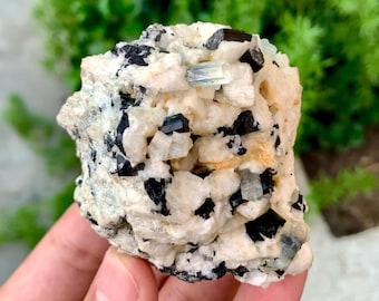 アクアマリン＆ショール標本：パキスタン・スカルドゥ産クリスタル