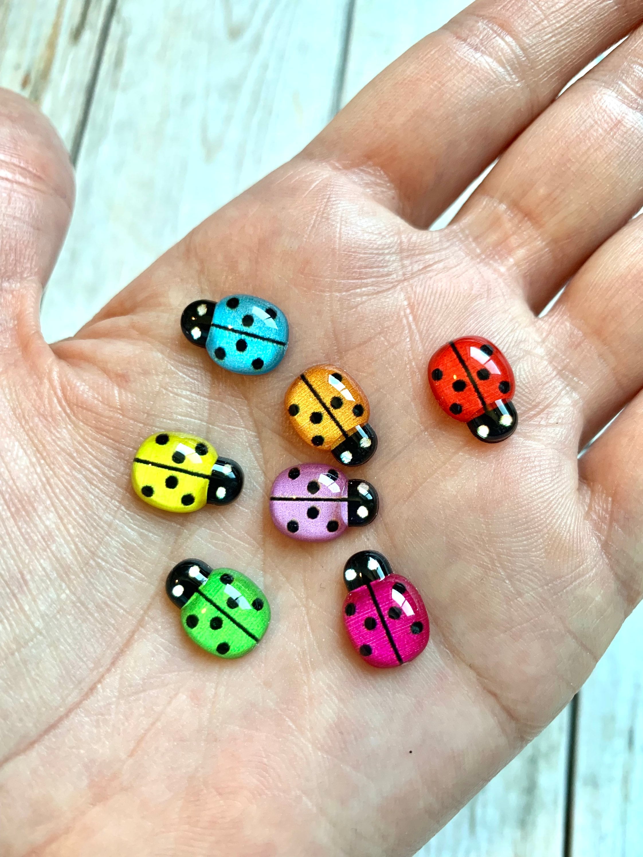 てんとう虫の装飾品 20 個 / マルチカラーてんとう虫 / フラットバック