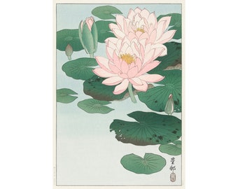 小原古邨「睡蓮に二匹の金魚」本物木版画 小原古邨「睡蓮