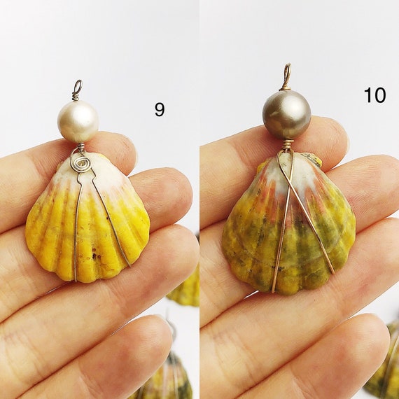 サンライズシェル ハワイ産 ナチュラルカラー - Etsy 日本