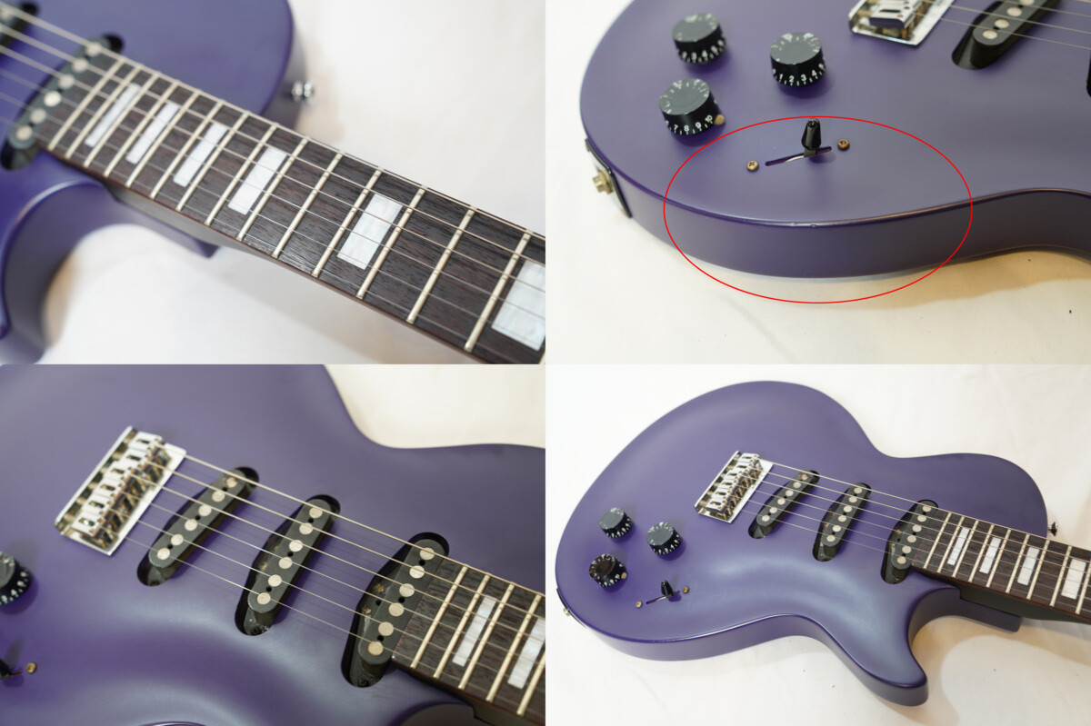 Edwards LunaSea Inoran モデルEI-85LP