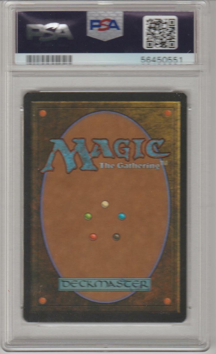 マジック：ザ・ギャザリング mtg Tropical 2ed hp MAGIC THE GATHERING