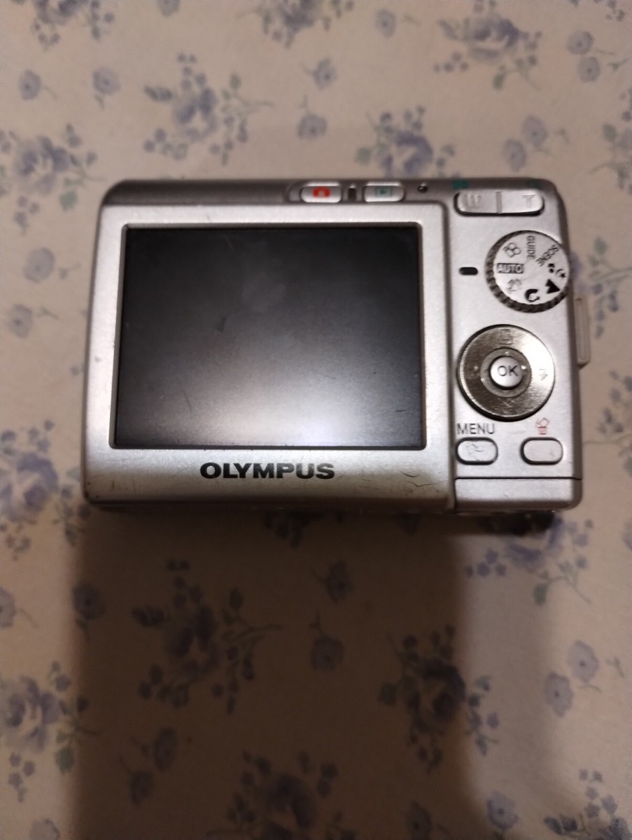 Olympus FE-180 6.0MP Digital Camera With 1gb Xd Memory Card And Av
