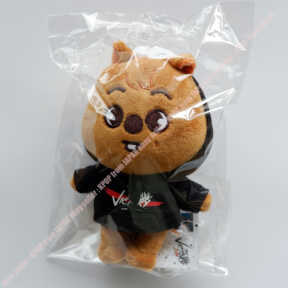 StrayKids SKZOO ヒョンジン ジニレット テディベア スキズ skzoo