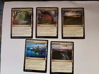 MTG ユーロランド 平地 森 沼 山 5種セット MTG ユーロランド 平地 森