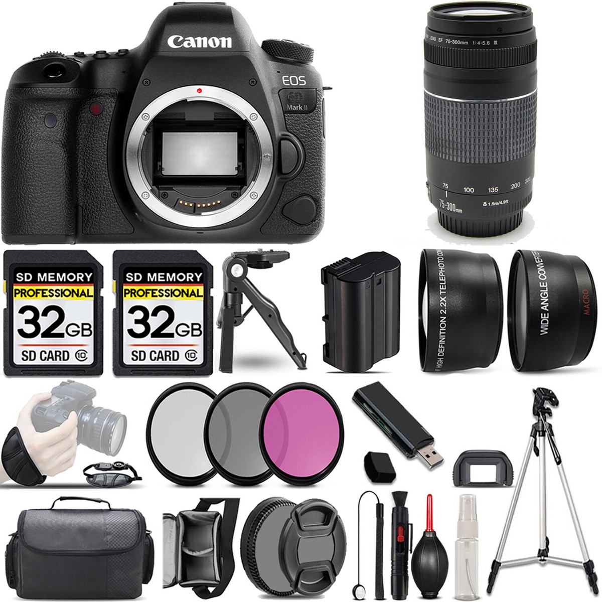 望遠レンズ/デジタル一眼レフ/Canon EF75-300 F4-5.6 II EF75-300mm f