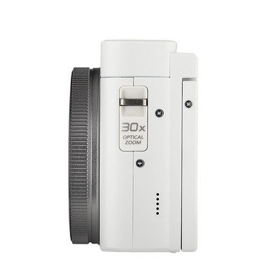 Panasonic LUMIX TZ99/ZS99 Point and Shoot Camera Compact Camera