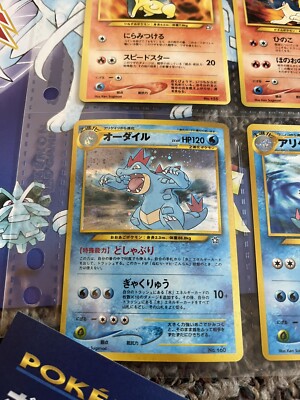 PSAセット 2000年 旧裏 ネオシリーズ プレミアムファイル 御三家 全部