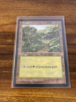 MTG✨APAC Land Promo FOREST Korea 🇰🇷 CLEAR✨MINT Rare 1997 E