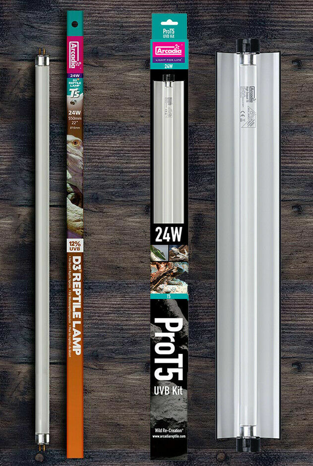 Arcadia Pro T5 12% 24W 22Inch UVB Desert Kit D3 Lamp Reptile