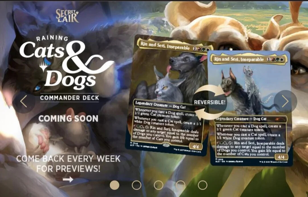 MTG SLD/Raining Cats and Dogs/未開封/1箱 MTG/SLD/Raining Cats and