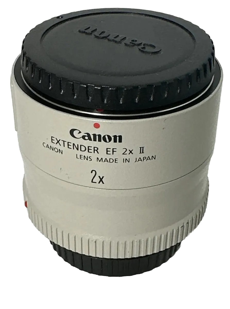 セスジタカネミナミカブト コレクションシリーズセスジタカネミナミ