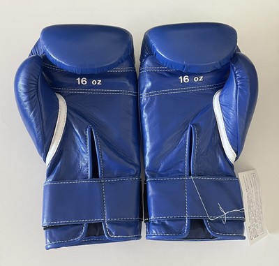 新品 ウイニング ボクシンググローブ 10オンス 白 / レイジェス