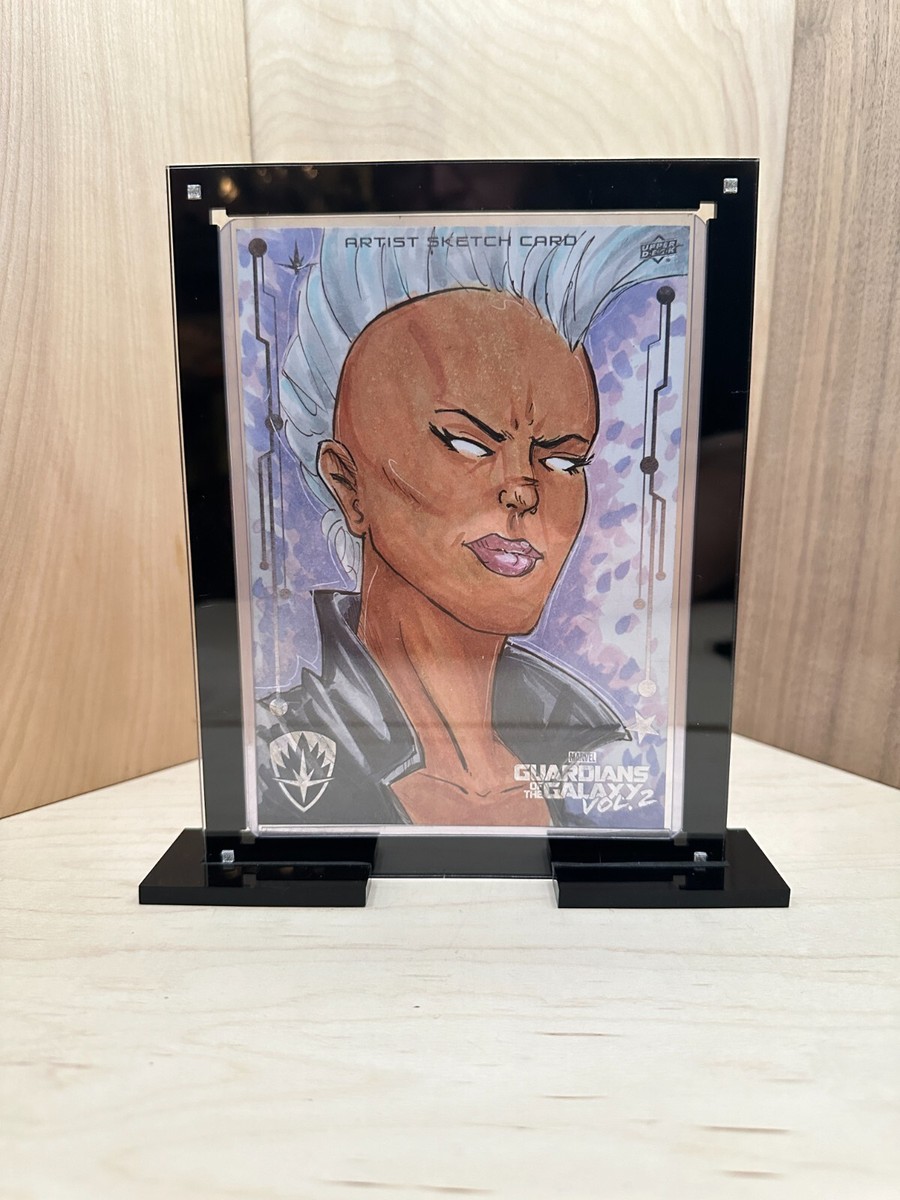 X TRADING CARDS HOLDER 1999・Xトレーディングカード X TRADING CARDS