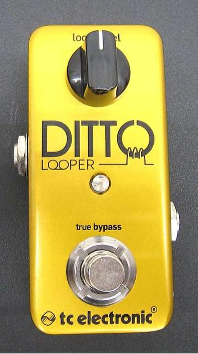 GOLDエディション】TC Electronic Ditto ルーパー GOLDエディション