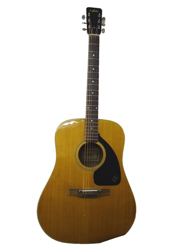 Aria Pro II VA353 80s Matsumoku Japan Vintage Vanguard w/Case