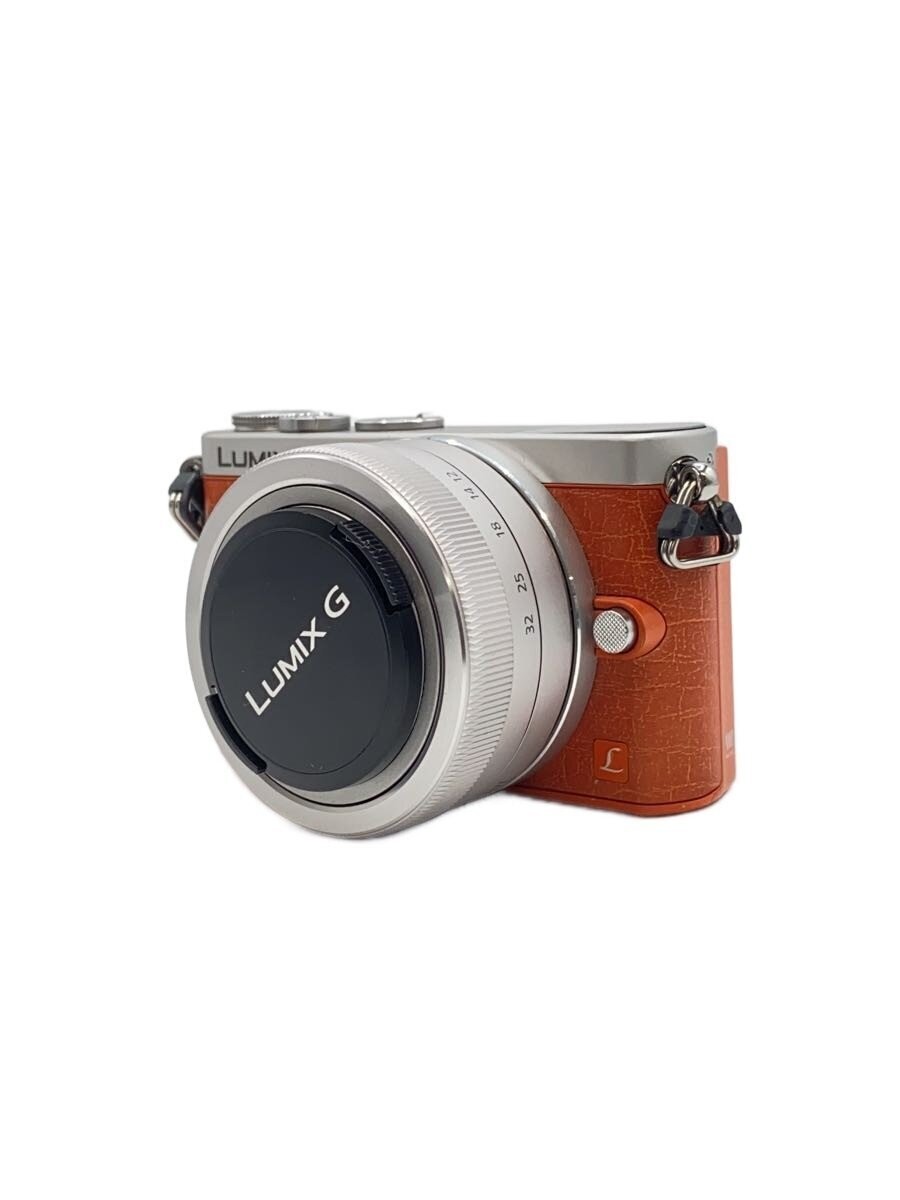 Panasonic LUMIX GM1 レンズキット 専用ケース付き Amazon