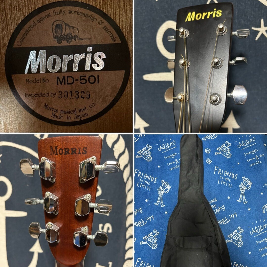 Morris MD-501 アコースティックギター Morris MD-501