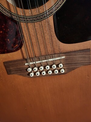 Seagull シーガル Coastline S12 Cedar Guitar Seagull シーガル