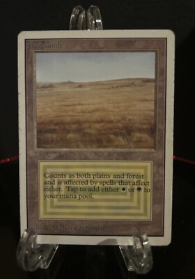 MTG savannah デュアルランド Savannah》[3ED] 土地R | 日本最大級 MTG