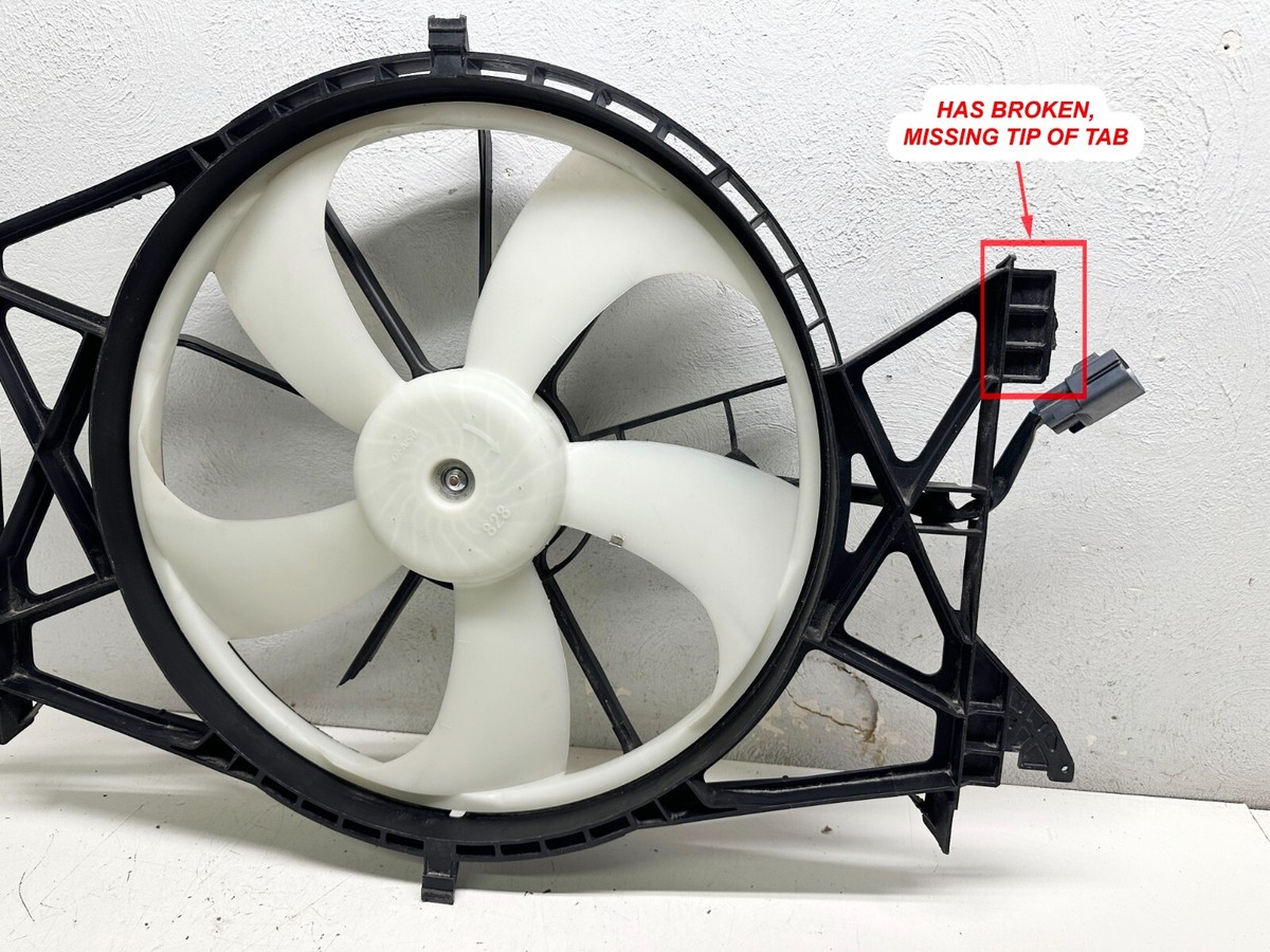 Rampart of the Ram's Head】RF 1枚 FaB JP】[守護者] 羊頭の堅盾