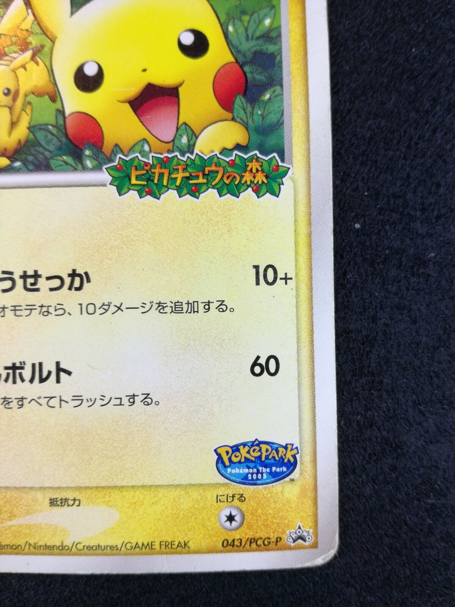 ポケパーク ピカチュウ ポケパークのピカチュウ